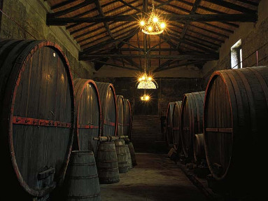 Excursion Etna Wine Tasting