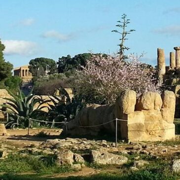 Excursion Piazza Armerina Agrigento