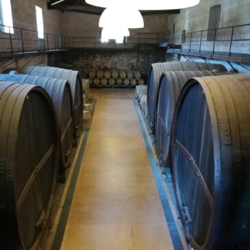 Round Trip from Taormina to Etna Wineries